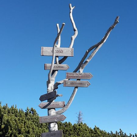 Chalet Zlatica Velika Planina Stahovica Kültér fotó