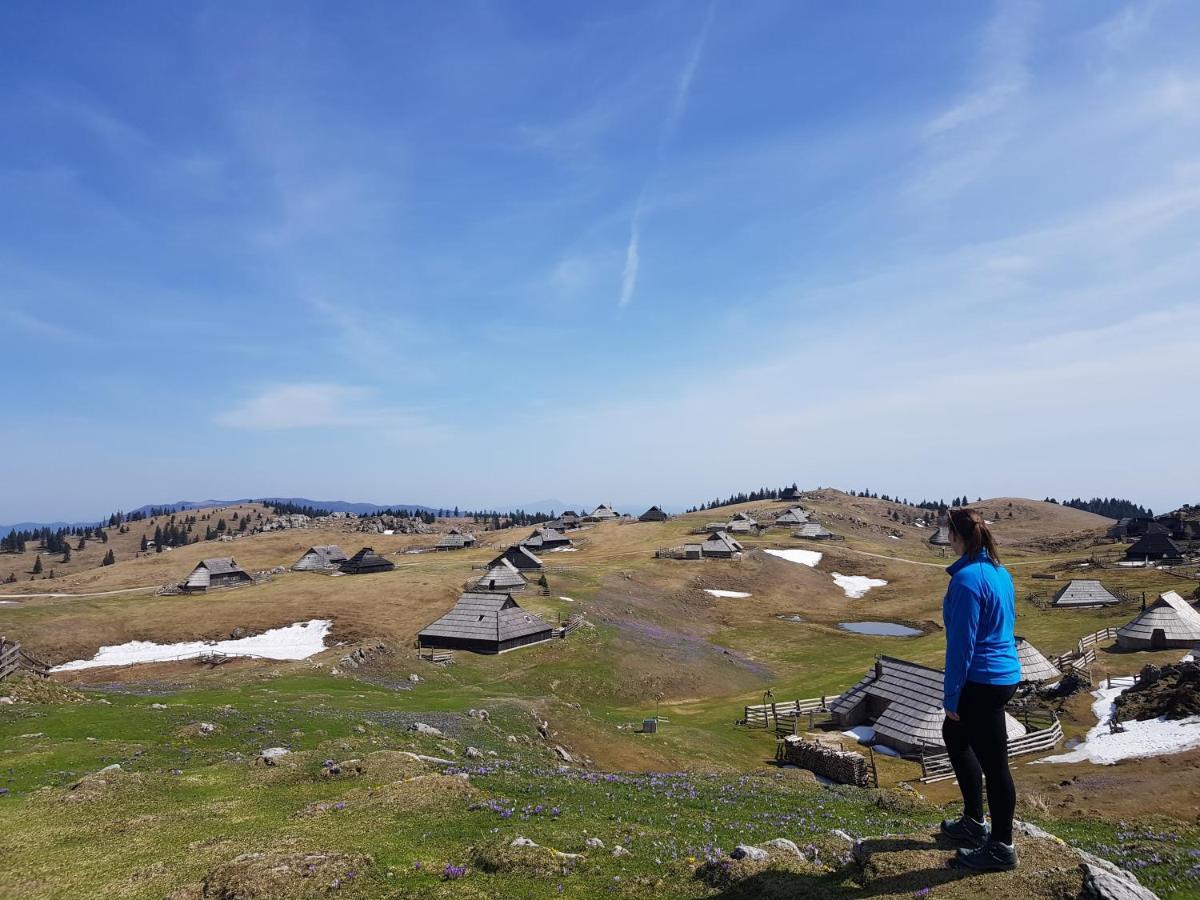 Chalet Zlatica Velika Planina Stahovica Kültér fotó