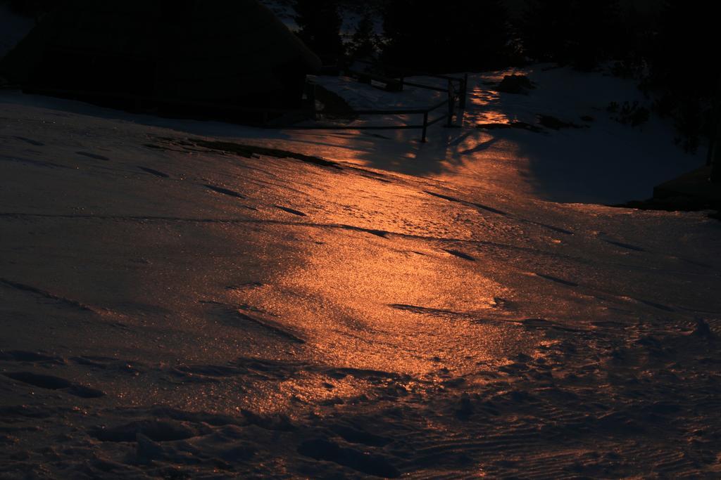 Chalet Zlatica Velika Planina Stahovica Kültér fotó
