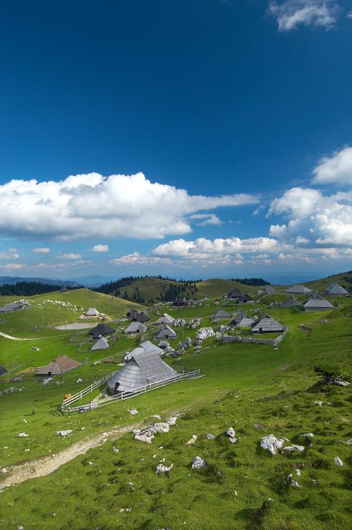 Chalet Zlatica Velika Planina Stahovica Kültér fotó