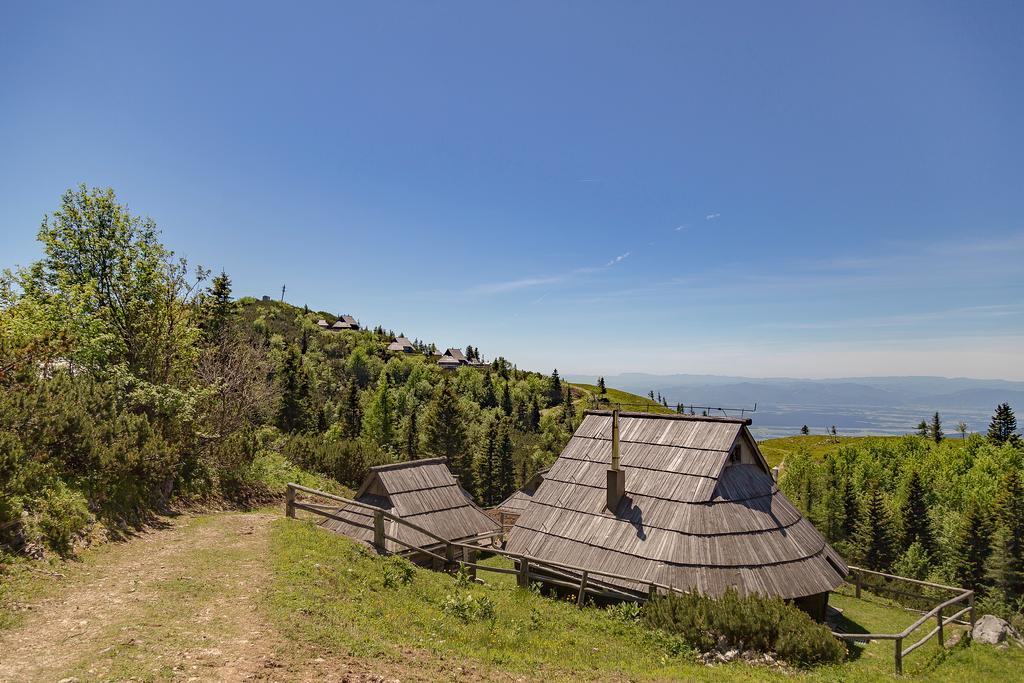 Chalet Zlatica Velika Planina Stahovica Kültér fotó