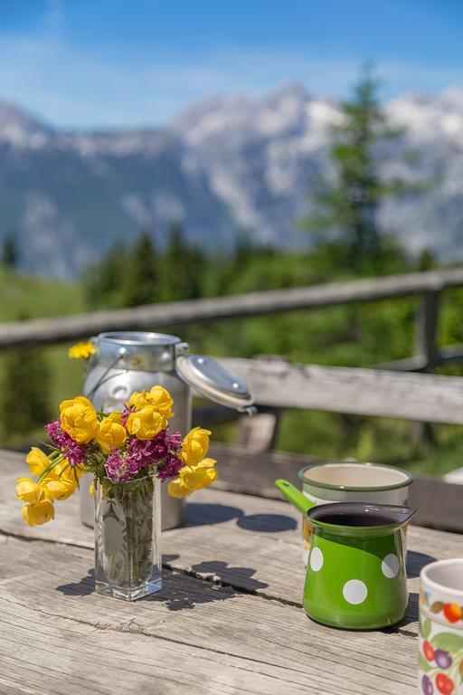 Chalet Zlatica Velika Planina Stahovica Kültér fotó